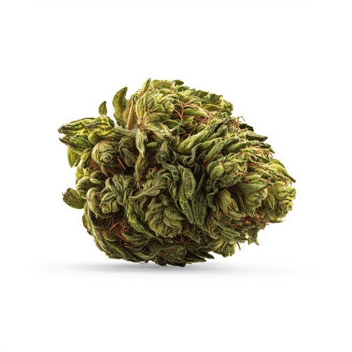 https://cannavate.nyc3.cdn.digitaloceanspaces.com/default.png https://cannavate.nyc3.cdn.digitaloceanspaces.com/default.png